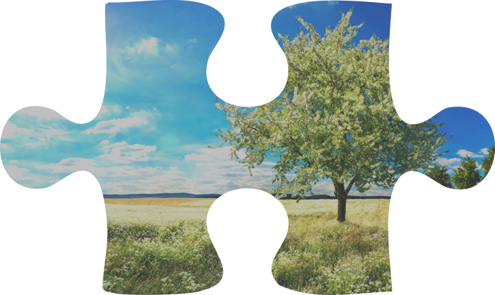 Puzzle Shape